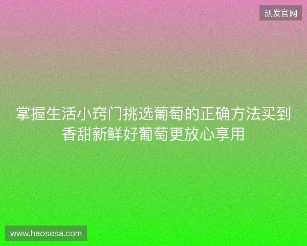 掌握生活小窍门挑选葡萄的正确方法买到香甜新鲜好葡萄更放心享用 掌握生活小窍门挑选葡萄的正确方法买到香甜新鲜好葡萄更放心享用